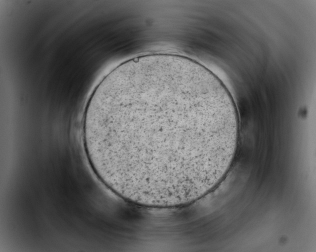 X0000103931389200810311507