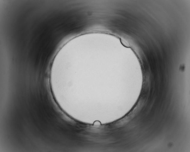 X0000103931390200810311507