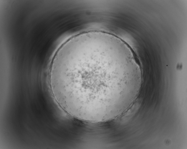 X0000103931392200810311507