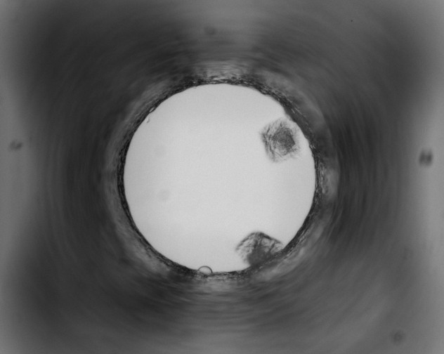 X0000103931393200810311506