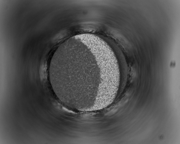 X0000103931394200810311506