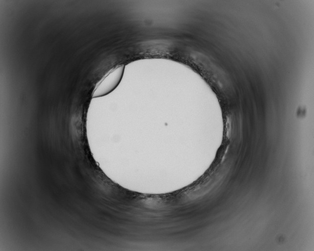 X0000103931395200810311506