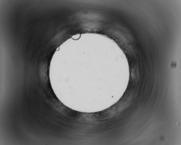 X0000103931396200810311506