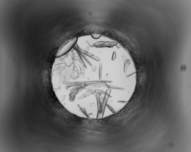 X0000103931397200810311506