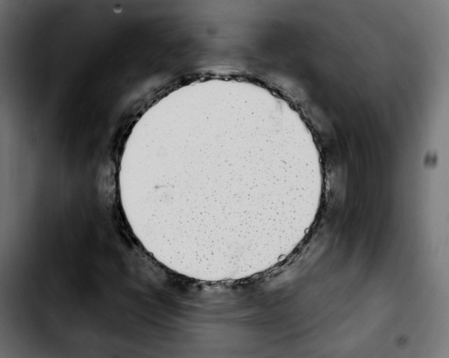 X0000103931398200810311506