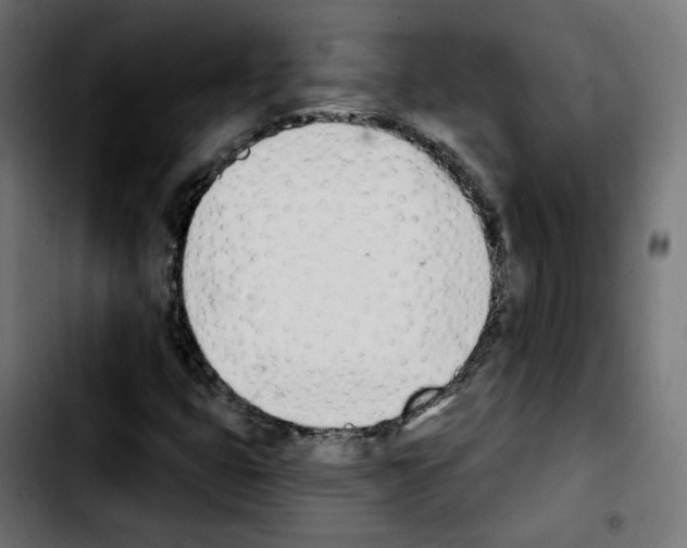X0000103931399200810311506