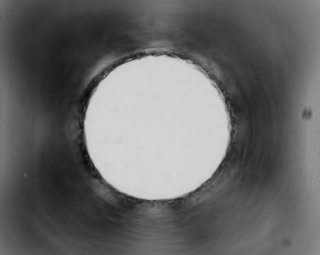 X0000103931400200810311506
