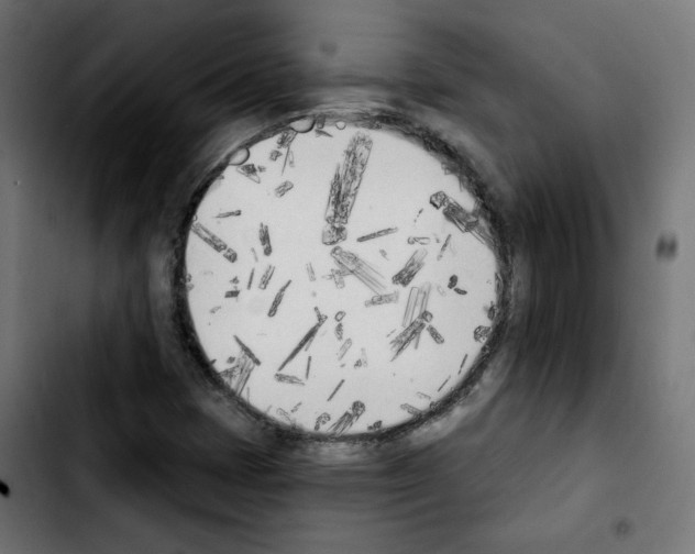 X0000103931401200810311506