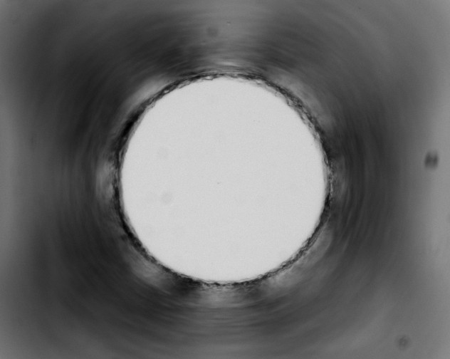 X0000103931402200810311506
