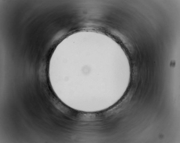 X0000103931403200810311506