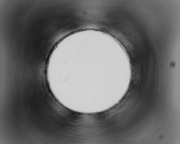 X0000103931404200810311506