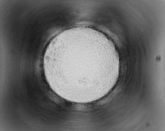 X0000103931405200810311506