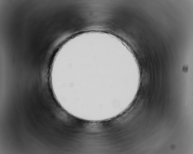 X0000103931406200810311506