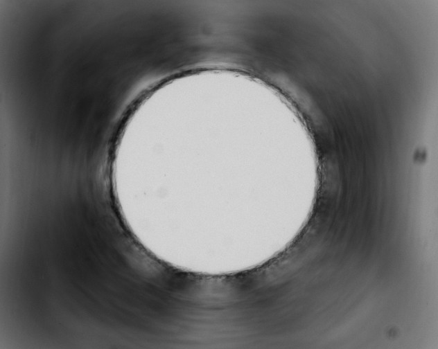 X0000103931408200810311506