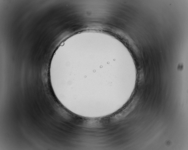 X0000103931409200810311506