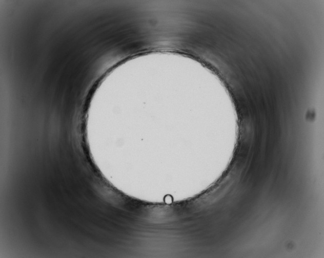 X0000103931410200810311507