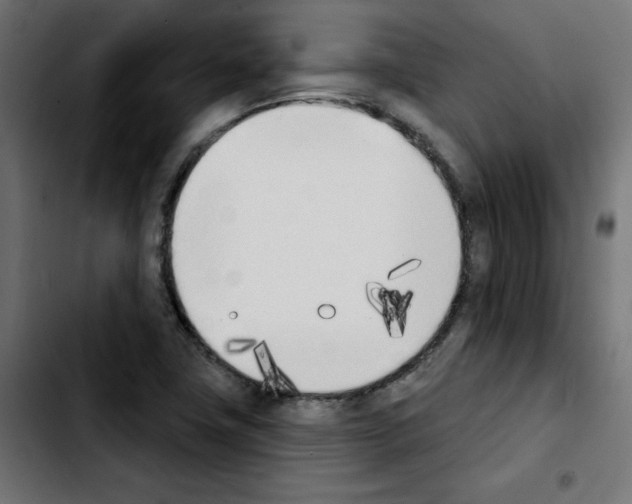 X0000103931411200810311507