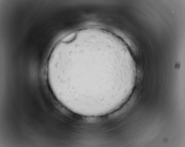 X0000103931413200810311507