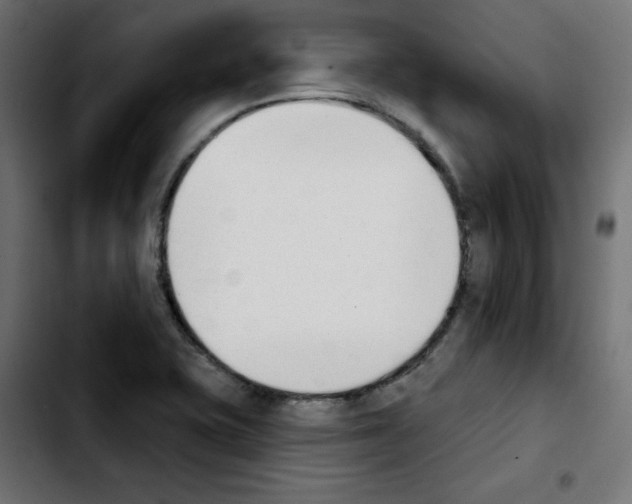 X0000103931415200810311507