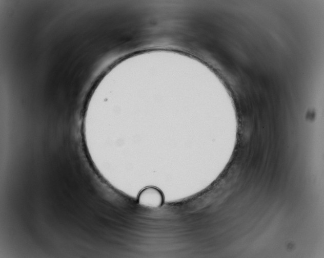 X0000103931416200810311507