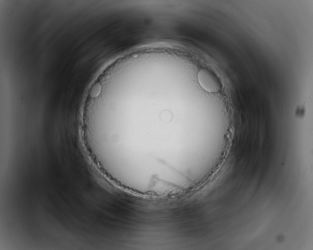 X0000103931417200810311507