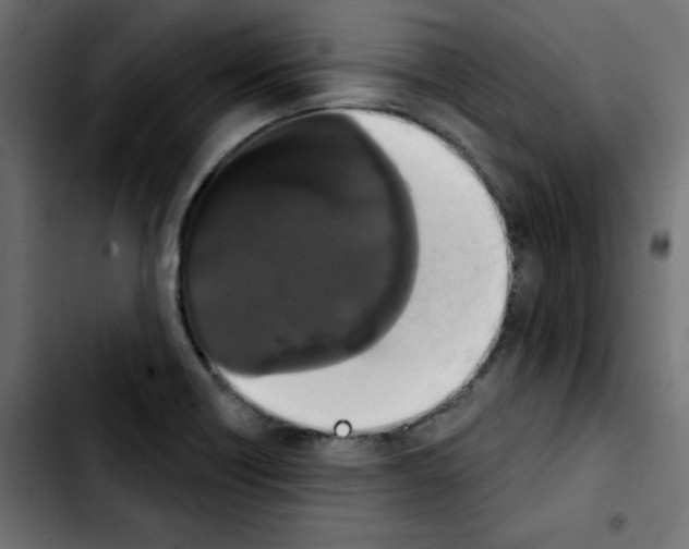 X0000103931418200810311507