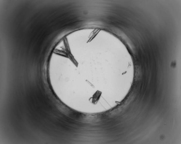 X0000103931419200810311507