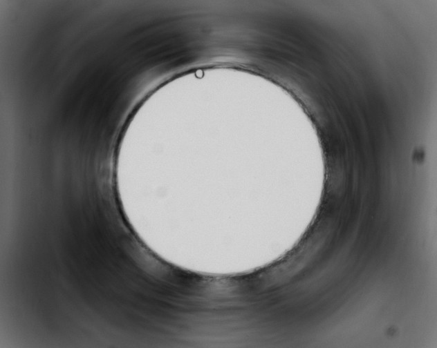 X0000103931420200810311507