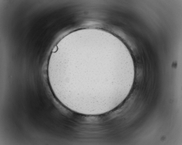 X0000103931421200810311507