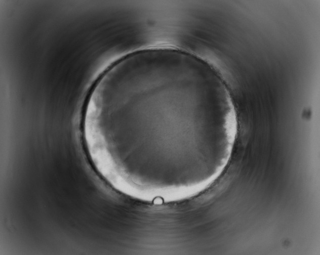 X0000103931422200810311507