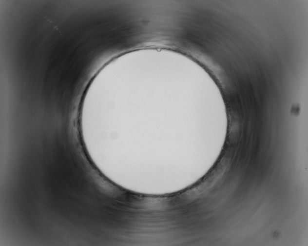 X0000103931423200810311507