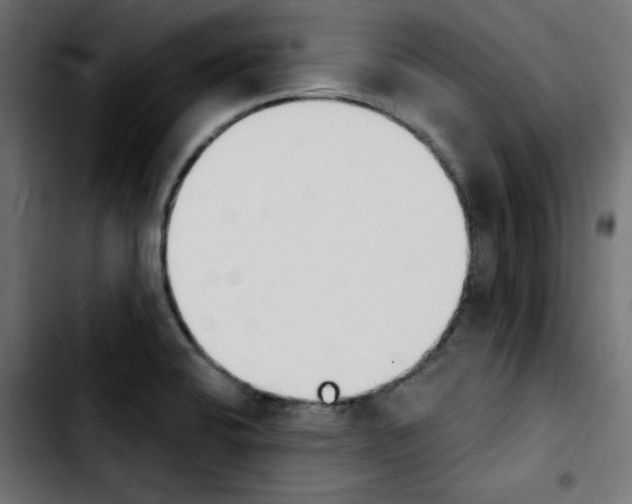X0000103931424200810311507