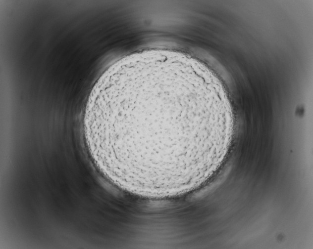 X0000103931425200810311507
