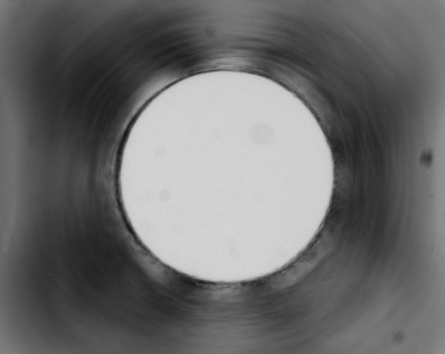 X0000103931426200810311507