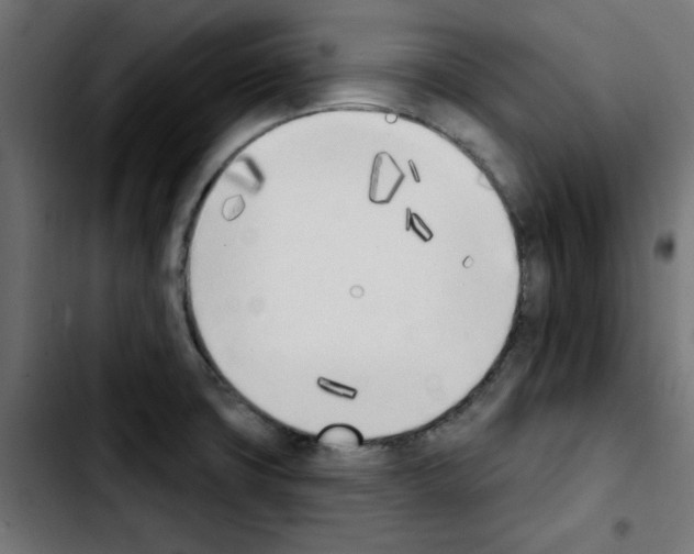 X0000103931427200810311507