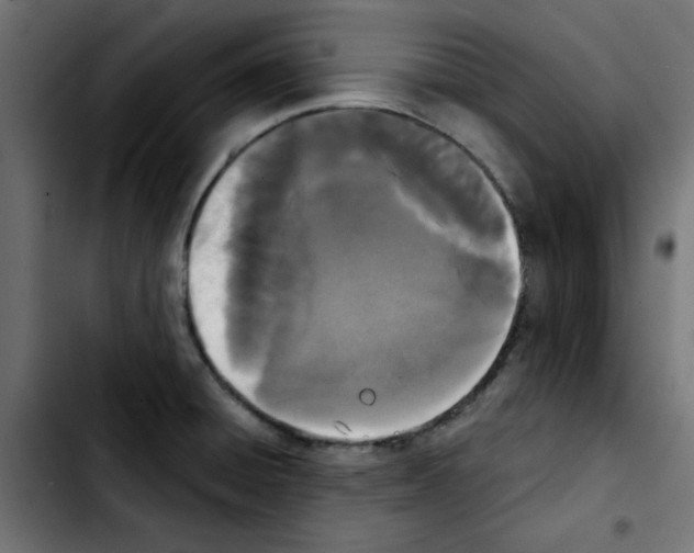 X0000103931428200810311507