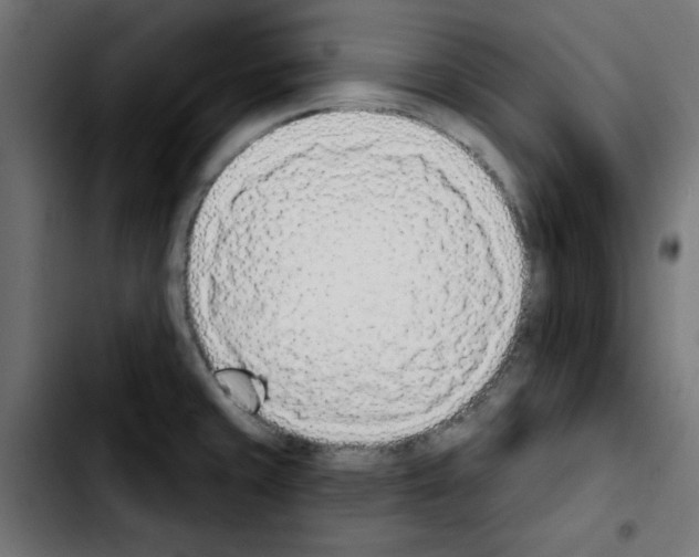 X0000103931429200810311507