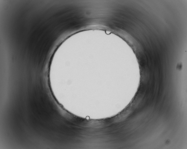 X0000103931430200810311507