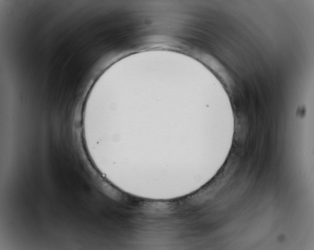 X0000103931431200810311507