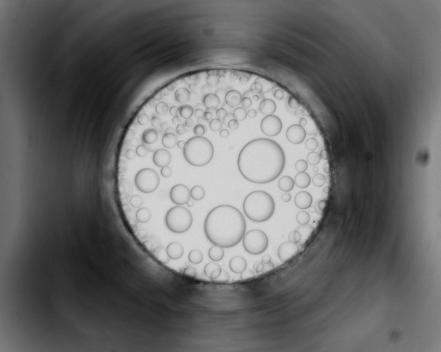 X0000103931432200810311507