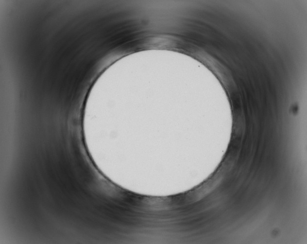 X0000103931434200810311507