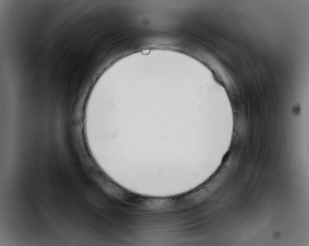 X0000103931435200810311507