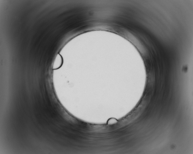 X0000103931436200810311507