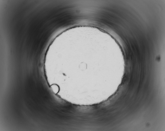 X0000103931437200810311507