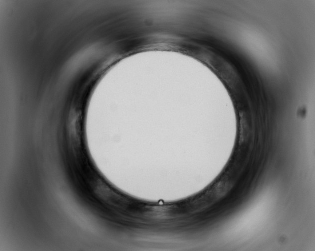 X0000103931438200810311507