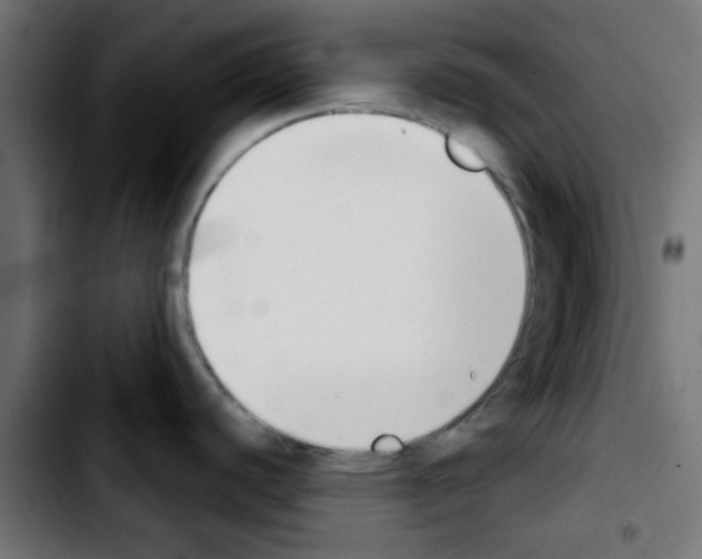 X0000103931440200810311507