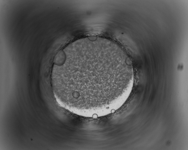 X0000103931441200810311506