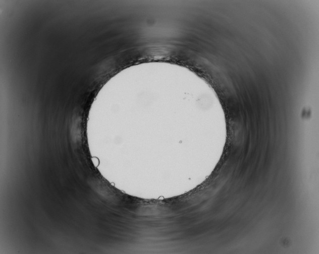 X0000103931442200810311506