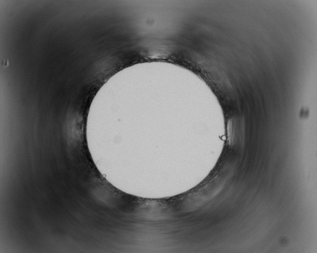 X0000103931443200810311506