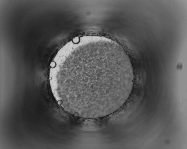 X0000103931445200810311506